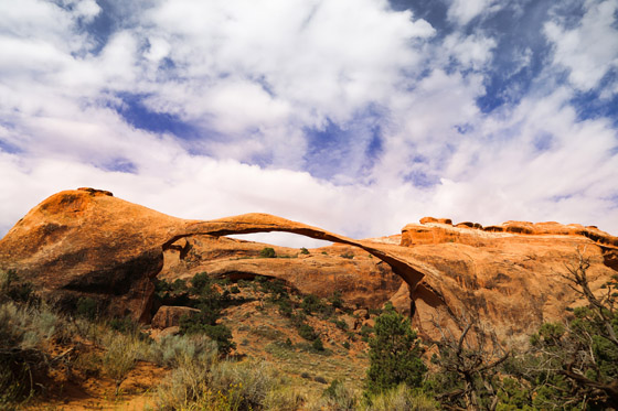 Rutabaobab Arches National Park