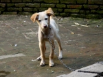 bhaktapur-nepal-24